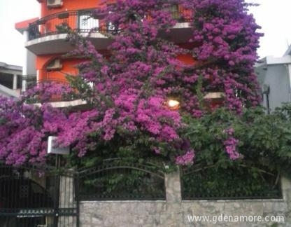 APARTMANI BITO &amp; SLOVENKA - DOBRE VODE, privatni smeštaj u mestu Dobre Vode, Crna Gora